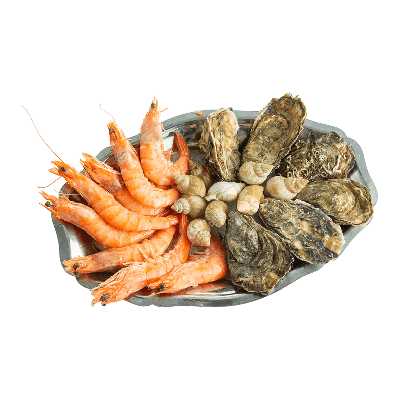 Shellfish - Fish Club