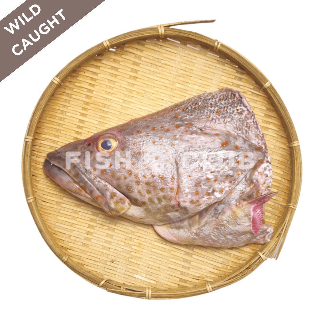 Grouper (Local Wild) Head / 石斑(本地野生)鱼头