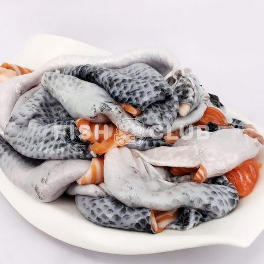 Fish Club Origins Norwegian Rainbow Trout Premium Skin (250g) ***