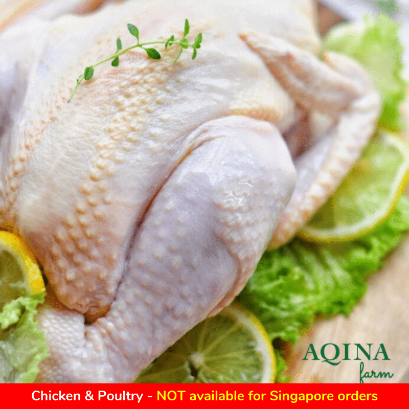 Aqina Kampung Chicken (Half) / 甘榜鸡(半只) - Fish Club