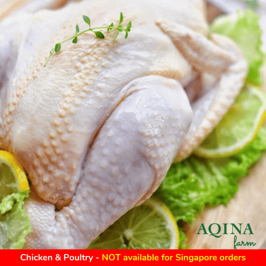 Aqina Kampung Chicken (Half) / 甘榜鸡(半只) - Fish Club