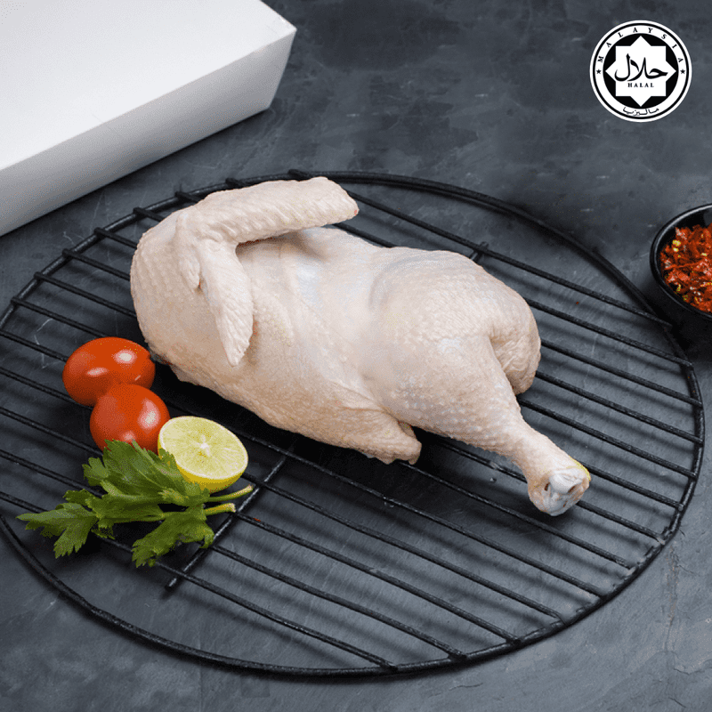Aqina Kampung Chicken (Half) / 甘榜鸡(半只) - Fish Club