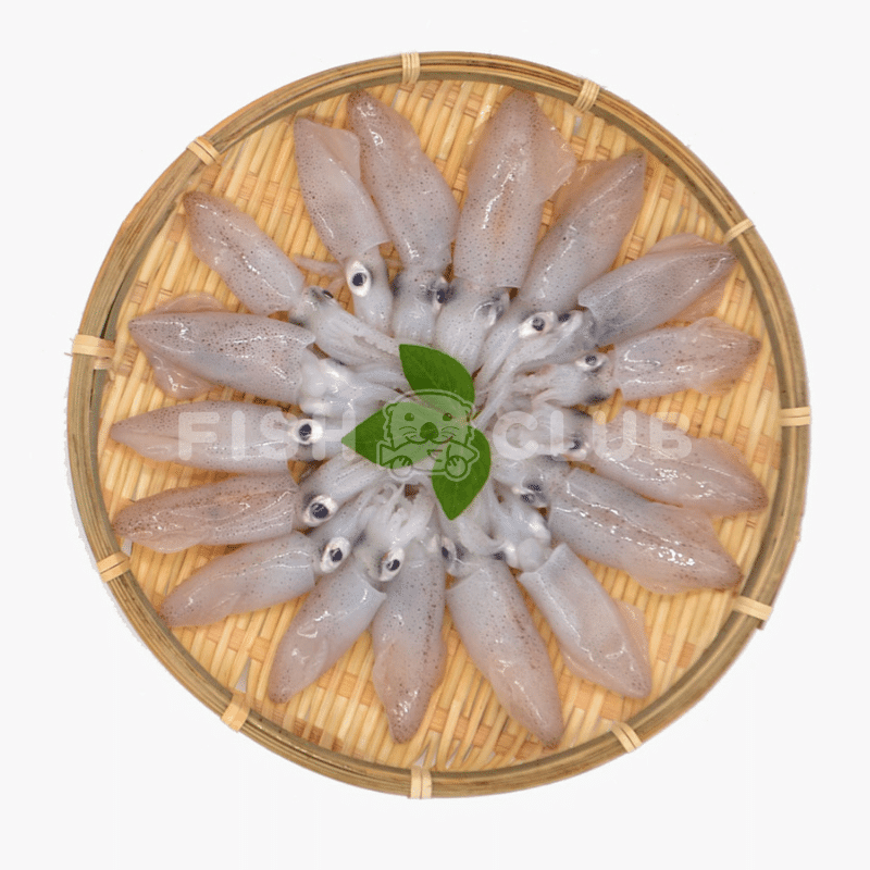 Baby Squids (Pontian Wild) / 苏东仔(笨珍野生)- 500g - Fish Club