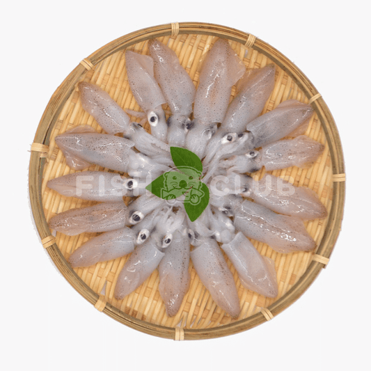 Baby Squids (Pontian Wild) / 苏东仔(笨珍野生)- 500g - Fish Club