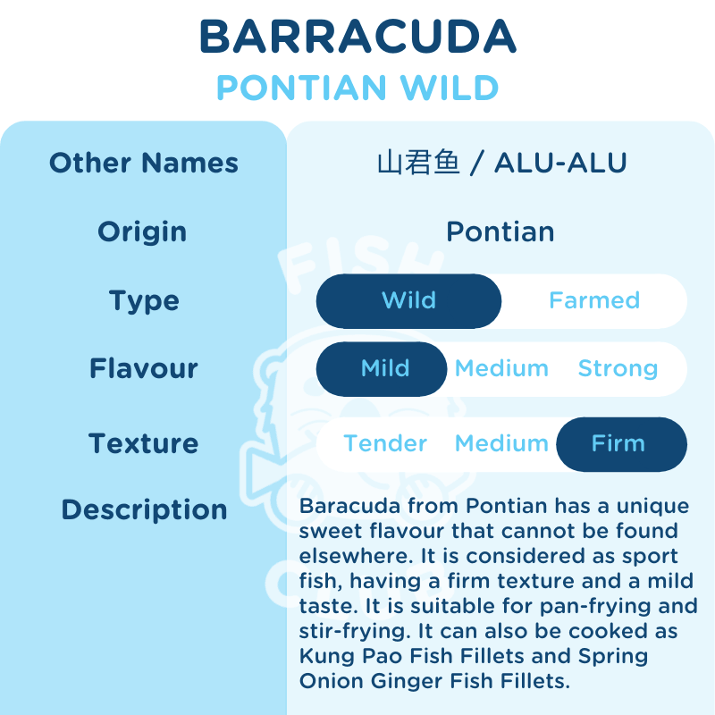 Barracuda (Pontian Wild) Fillet / 山君鱼(笨珍野生) - Fish Club
