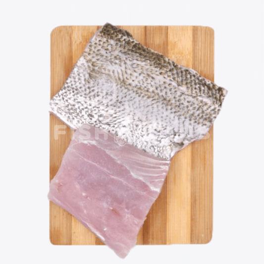 Barracuda (Pontian Wild) Fillet / 山君鱼(笨珍野生) - Fish Club
