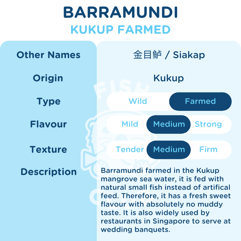 Barramundi (Kukup Farmed) Fillet / 金目鲈(龟咯海养)厚片 - Fish Club
