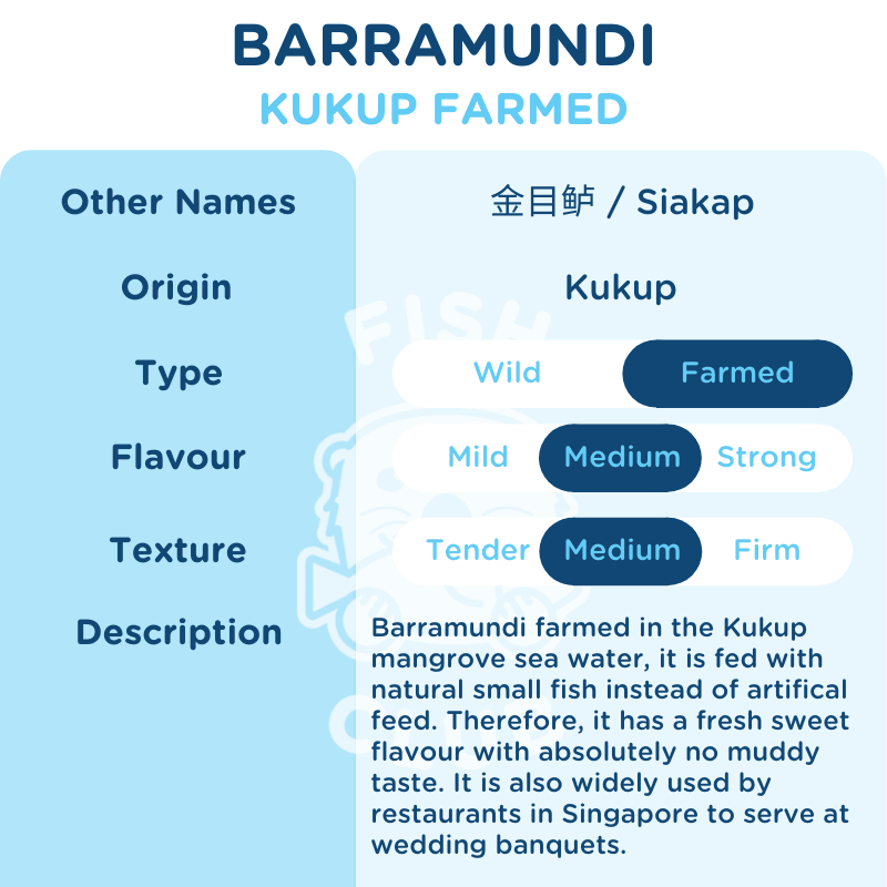 Barramundi (Kukup Farmed) Fillet / 金目鲈（龟咯海养）厚片 - Fish Club