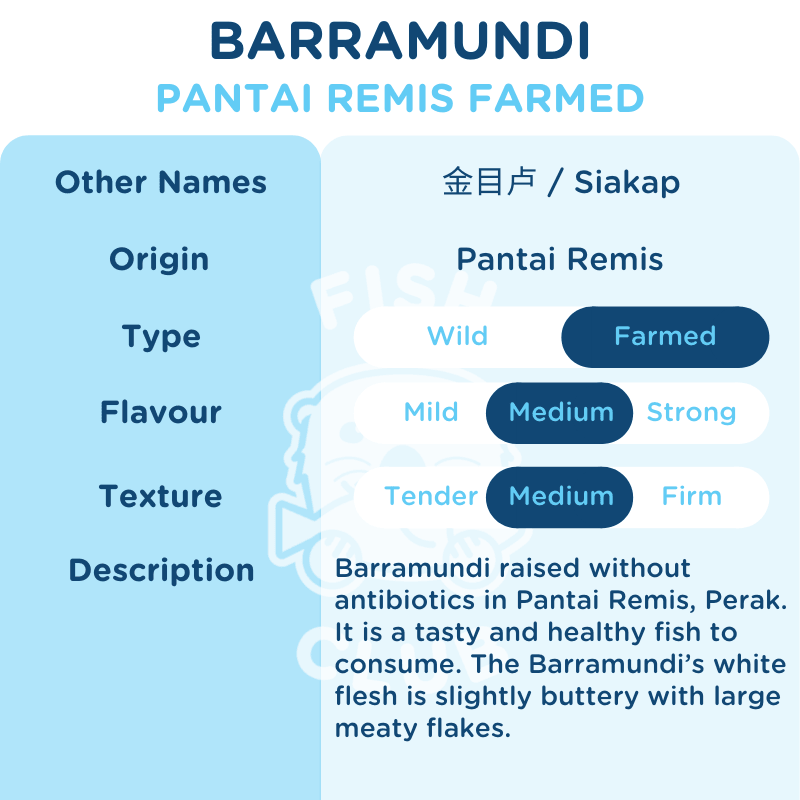 Barramundi (Pantai Remis Farmed) Head / 金目鲈(班台养殖)鱼头 - Fish Club