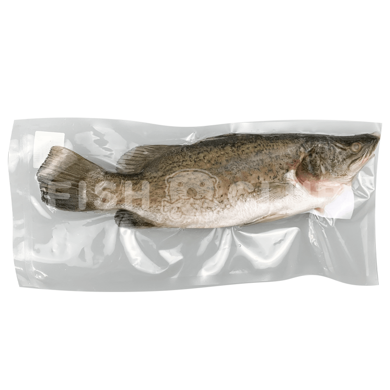 Barramundi (Penang Farmed) Butterfly Cut / 金目鲈 (槟城养殖) 蝴蝶切 – 700-900g - Fish Club