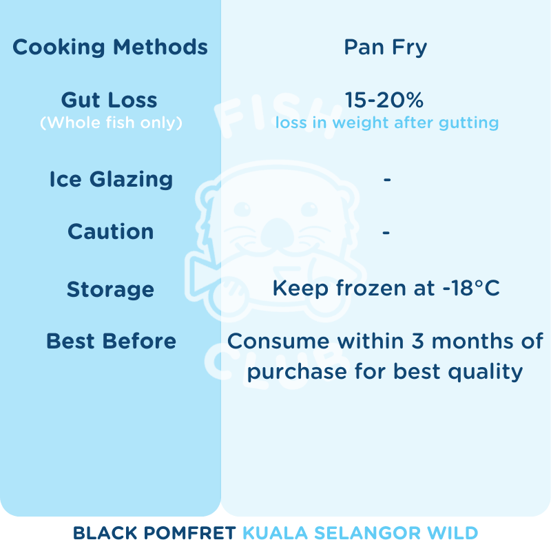 Black Pomfret (Kuala Selangor Wild) / 黑鲳(瓜雪野生) - Fish Club