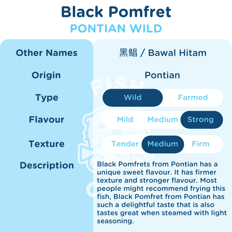 Black Pomfret (Pontian Wild) / 黑鲳（笨珍野生） - Fish Club