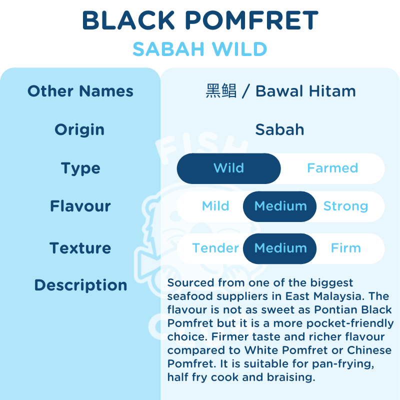 Black Pomfret (Sabah Wild) / 黑鲳 (沙巴野生) - Fish Club