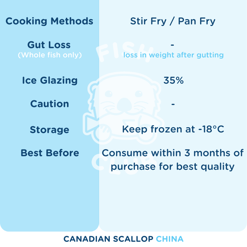 Canadian Wild Scallop / 加拿大带子 - 500g - Fish Club
