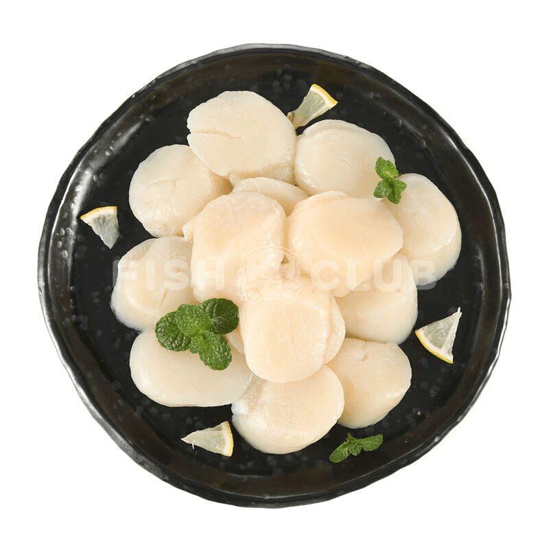 Canadian Wild Scallop / 加拿大带子 - 500g - Fish Club