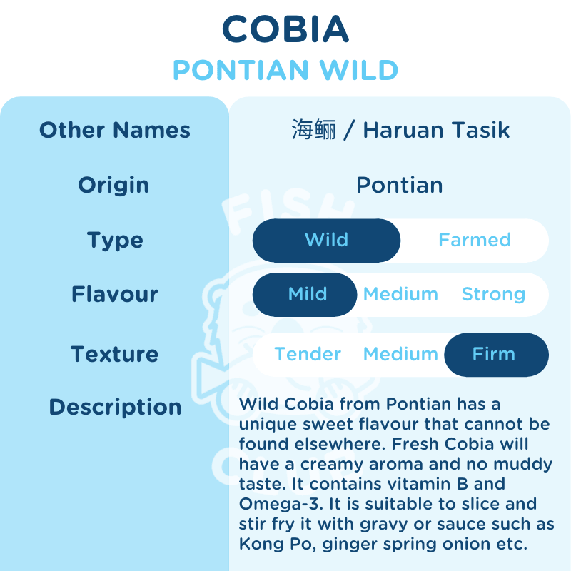 Cobia (Pontian Wild) Fillet / 海鲡(笨珍野生)厚片 - Fish Club