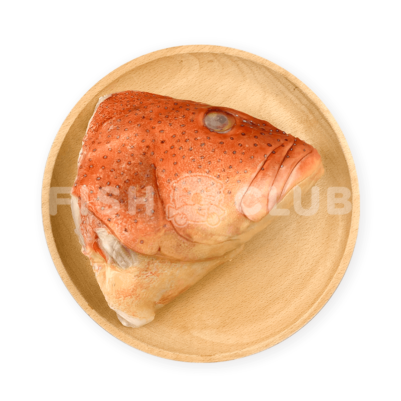 Coral Grouper (Sabah Wild) Head / 七星斑(沙巴野生) 鱼头 - Fish Club