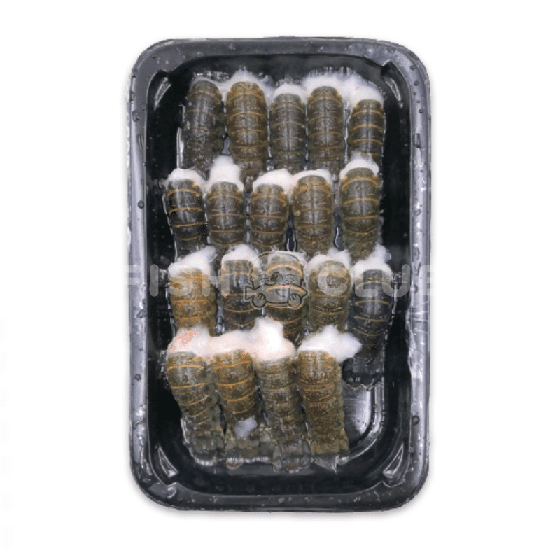 Crayfish Tail (Indo Wild) / 小龙虾(印尼野生)- 200g - Fish Club