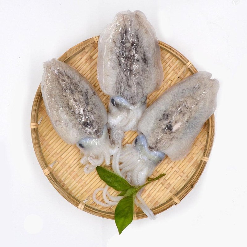 Cuttlefish Ring (Pontian Wild) / 墨斗条(笨珍野生)- 250g - Fish Club