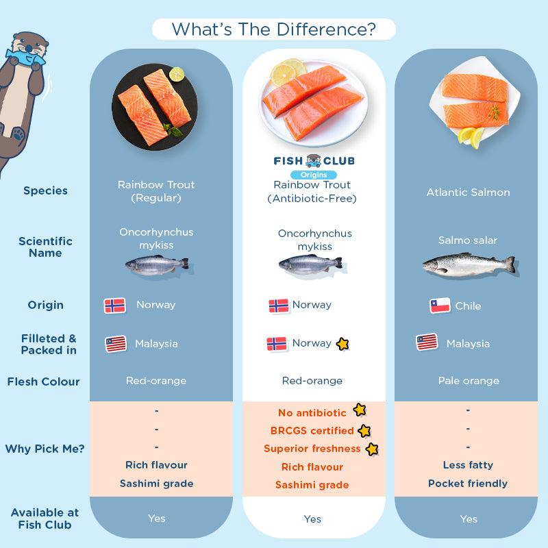 Fish Club Origins' Antibiotic-Free Norwegian Rainbow Trout - Fish Club