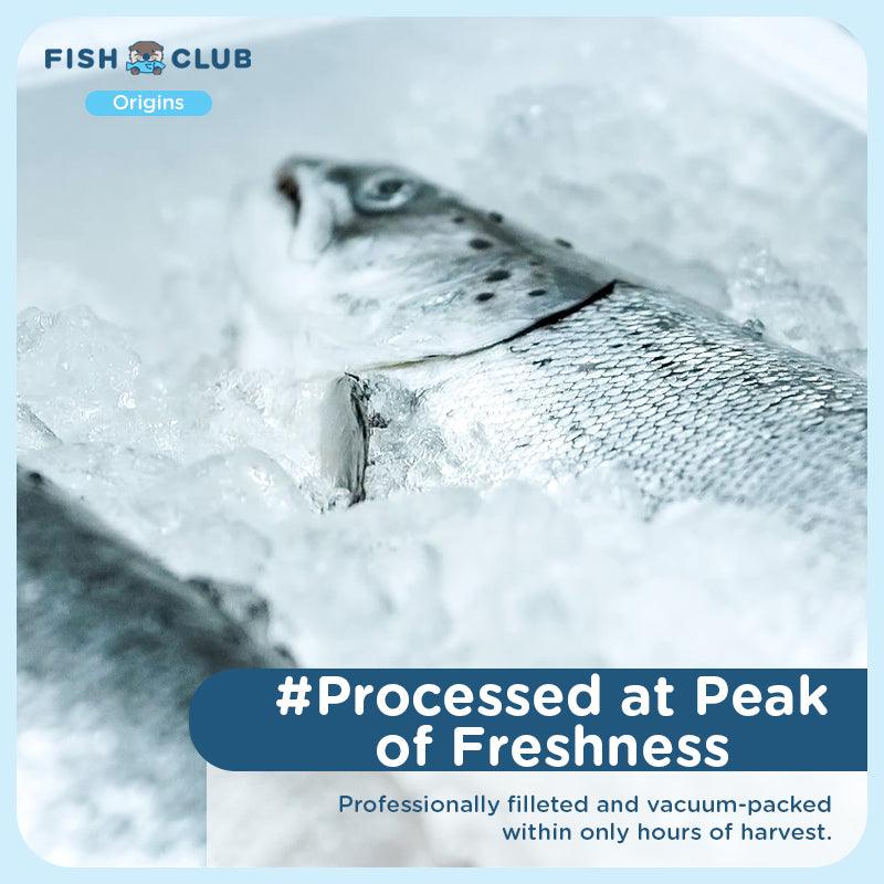 Fish Club Origins' Antibiotic-Free Norwegian Rainbow Trout - Fish Club