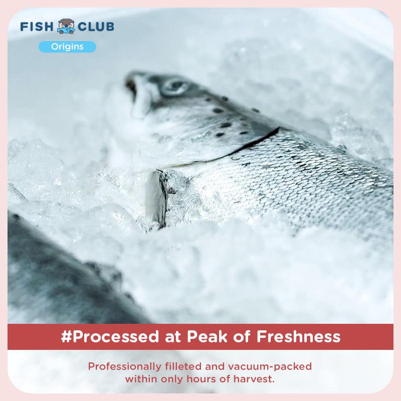 Fish Club Origins’ Antibiotic-Free Norwegian Rainbow Trout (Baby Cut) - Fish Club