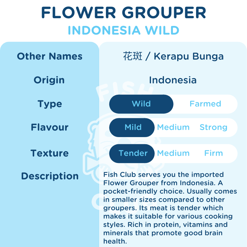 Flower Grouper (Indo Wild) / 花斑(印尼野生) - Fish Club