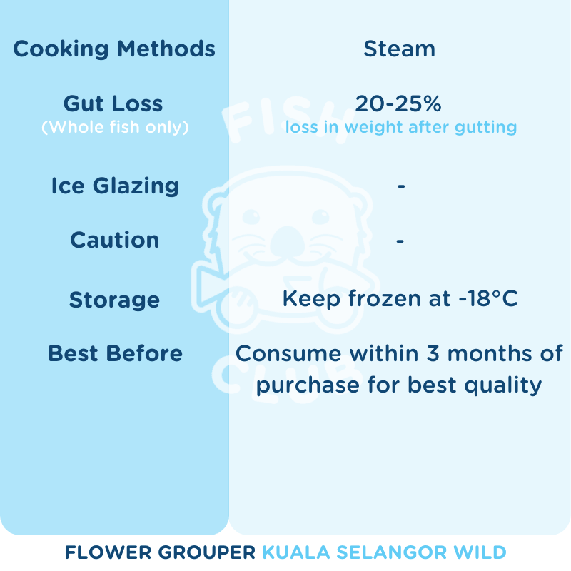 Flower Grouper (Kuala Selangor Wild) / 花斑 (瓜雪野生) - Fish Club