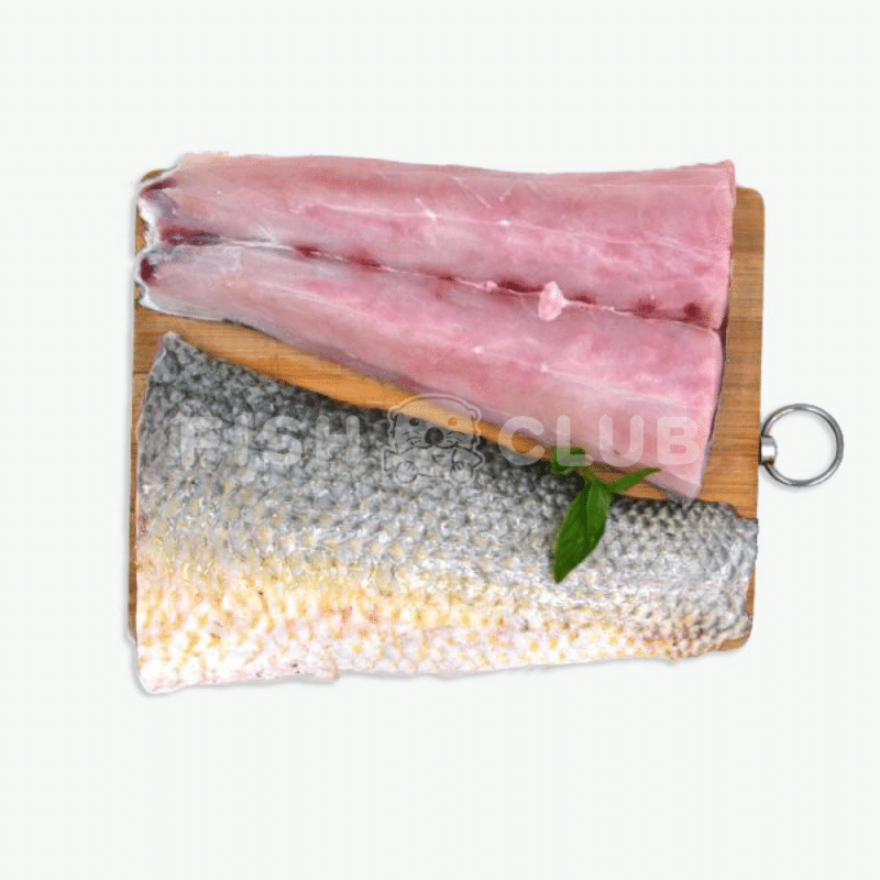 Fourfinger Threadfin (Pontian Wild) Fillet / 白午(笨珍野生)厚片 - Fish Club