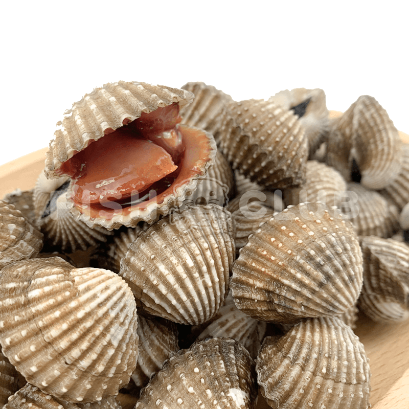 Frozen Blood Cockles / 血蛤 – 500g (50/60pcs) - Fish Club