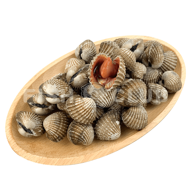 Frozen Blood Cockles / 血蛤 – 500g (50/60pcs) - Fish Club