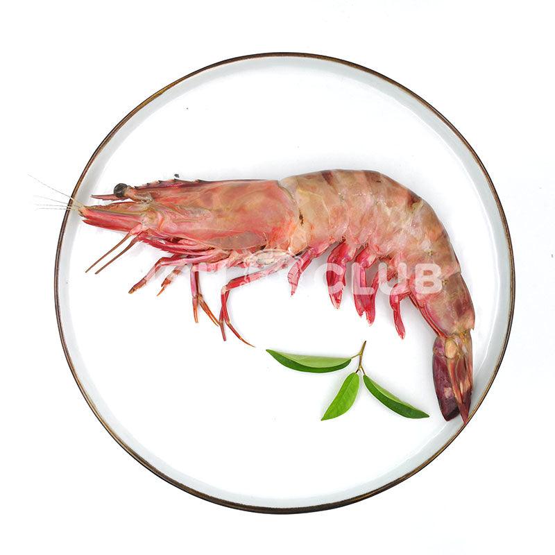 Giant Tiger Prawns (Sabah Wild) / 超大老虎虾 (沙巴野生) - 300g (2-5pcs) - Fish Club