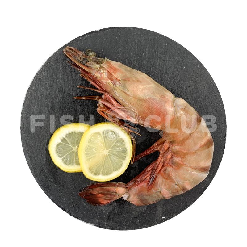 Giant Tiger Prawns (Sabah Wild) / 超大老虎虾 (沙巴野生) - XL - Fish Club