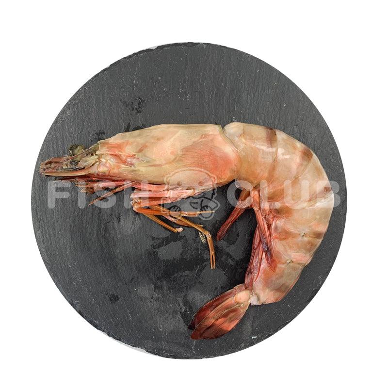 Giant Tiger Prawns (Sabah Wild) / 超大老虎虾 (沙巴野生) - XL - Fish Club