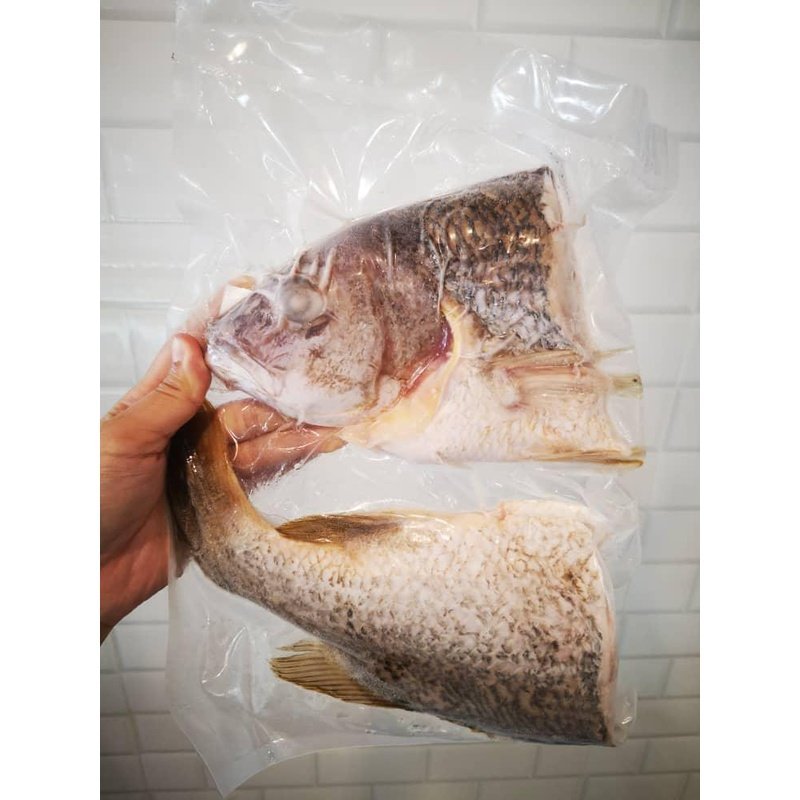 Golden Snapper (Kukup Farmed) Whole Steak / 红皂(龟咯海养)全鱼段 - Fish Club