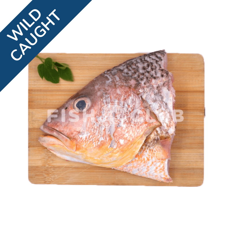 Golden Snapper (Pontian Wild) Head / 红皂(笨珍野生)鱼头 - Fish Club