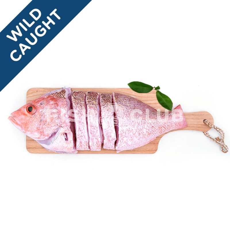 Golden Snapper (Pontian Wild) Whole Steak / 红皂(笨珍野生)全鱼段 - Fish Club
