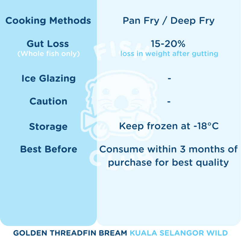 Golden Threadfin Bream (Kuala Selangor) / 红哥里 (瓜雪野生) - Fish Club