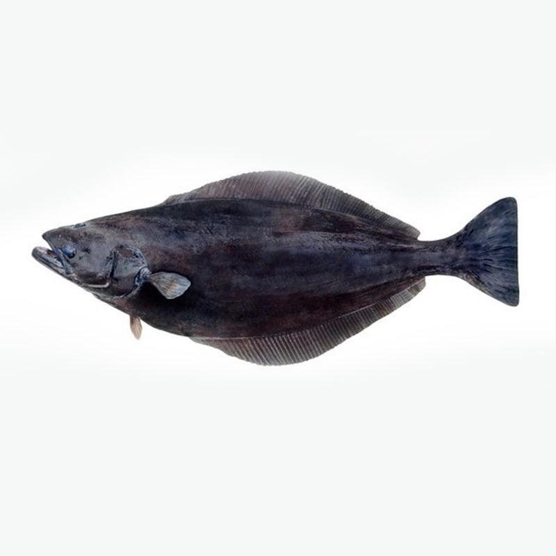 Greenland Halibut Fillet / 格陵兰比目鱼厚片 - Fish Club