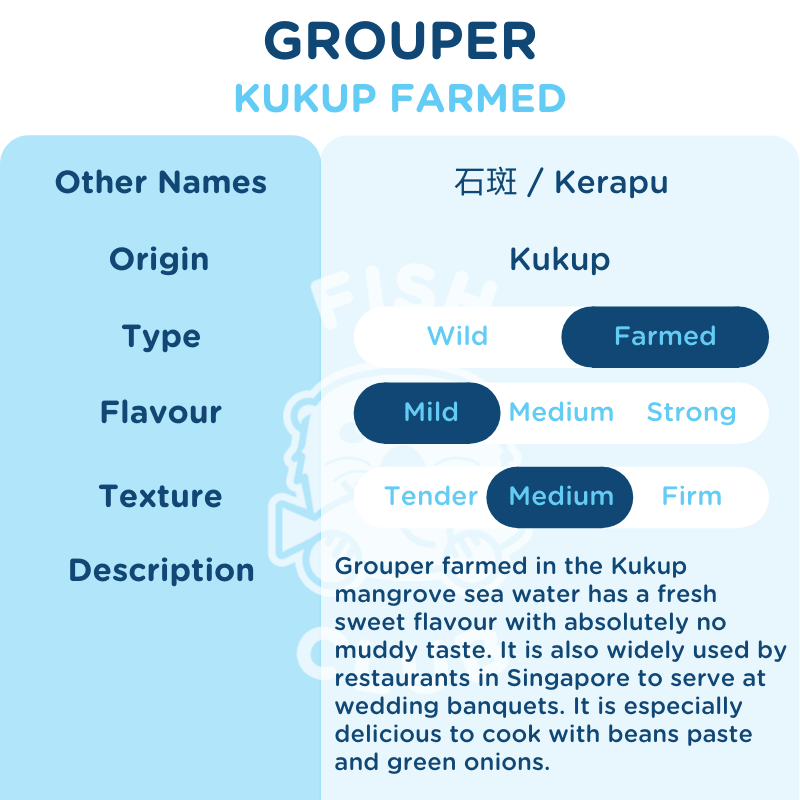 Grouper (Kukup Farmed) Whole Steak / 石斑(龟咯海养)全鱼段 - Fish Club