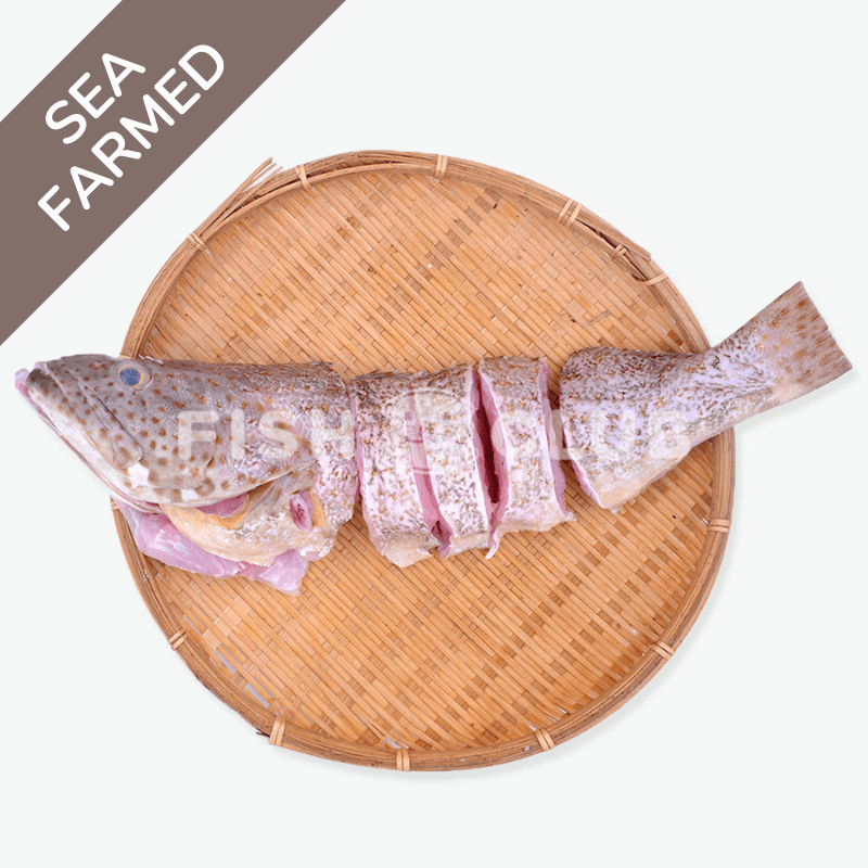 Grouper (Kukup Farmed) Whole Steak / 石斑(龟咯海养)全鱼段 - Fish Club
