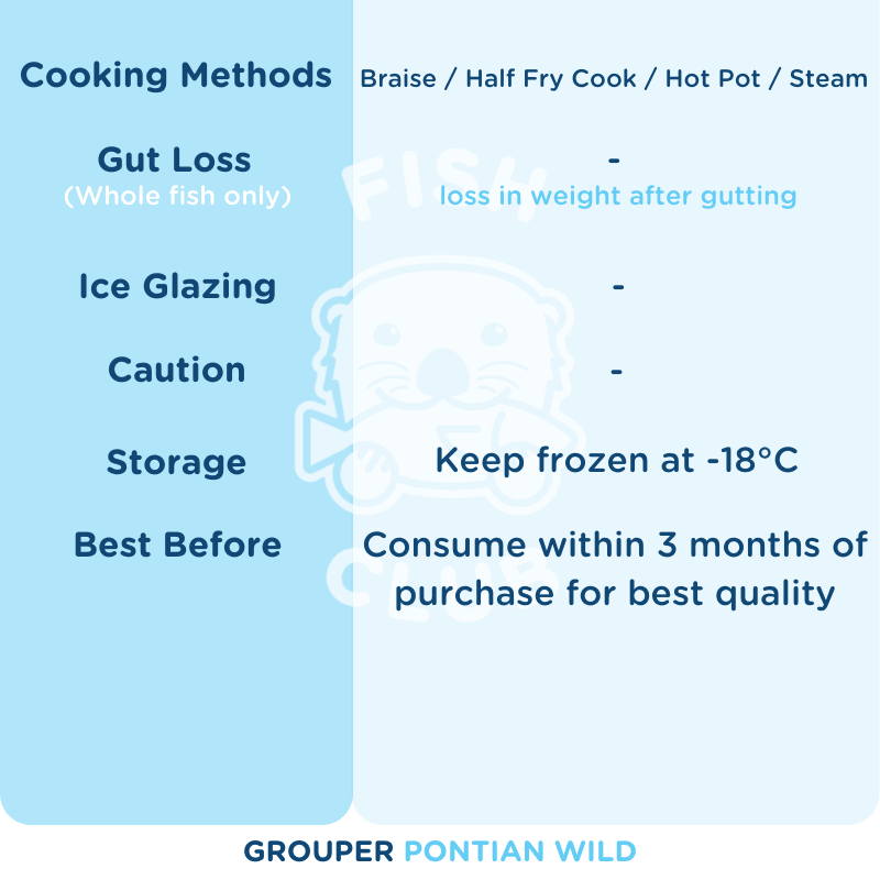 Grouper (Pontian Wild) / 石斑(笨珍野生) - Fish Club