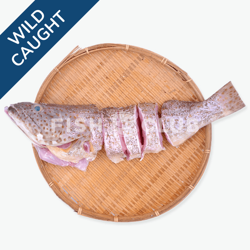 Grouper (Pontian Wild) Whole Steak / 石斑(笨珍野生)全鱼段 - Fish Club