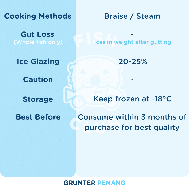 Grunter (Penang Farmed) / 白皂 (槟城养殖) - Fish Club