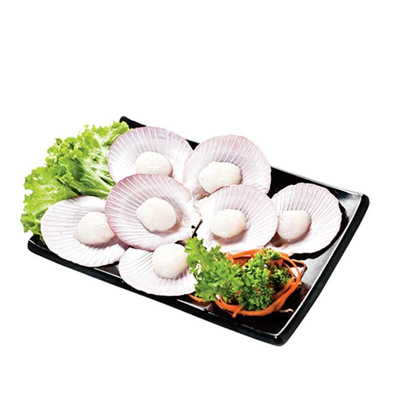 Half Shell Scallop / 半壳大扇贝 - 500g - Fish Club
