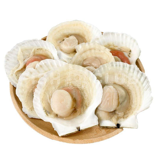 Half Shell Scallop With Roe / 半壳大扇贝 - 1kg (7-8 Pcs) - Fish Club