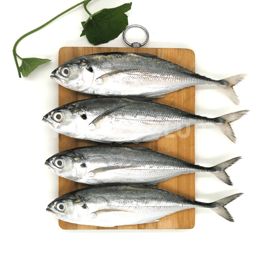 Hardtail Scad (Pontian Wild) / 硬尾(笨珍野生) - Fish Club