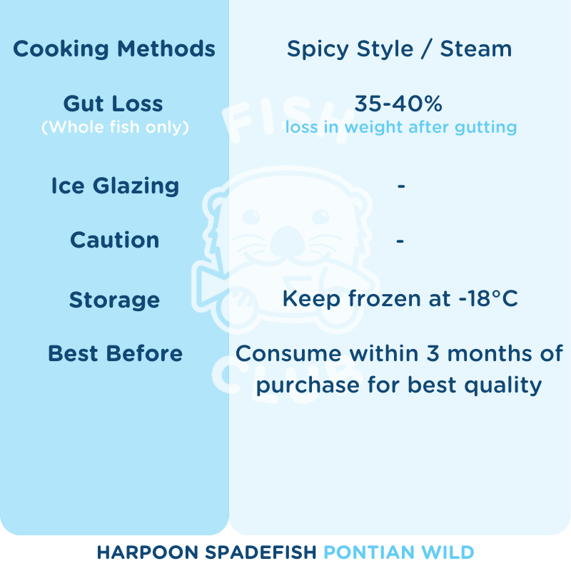 Harpoon Spadefish (Pontian Wild) / 中江鱼(笨珍野生) - Fish Club