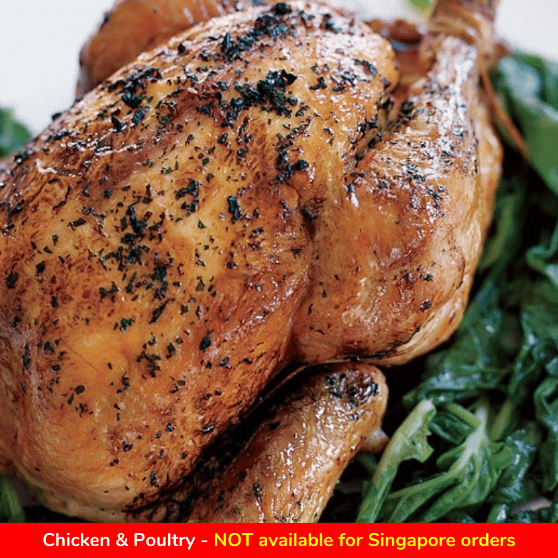 Hometown Black Pepper Kampung Chicken (Whole) / 黑胡椒甘榜鸡(全) - Fish Club