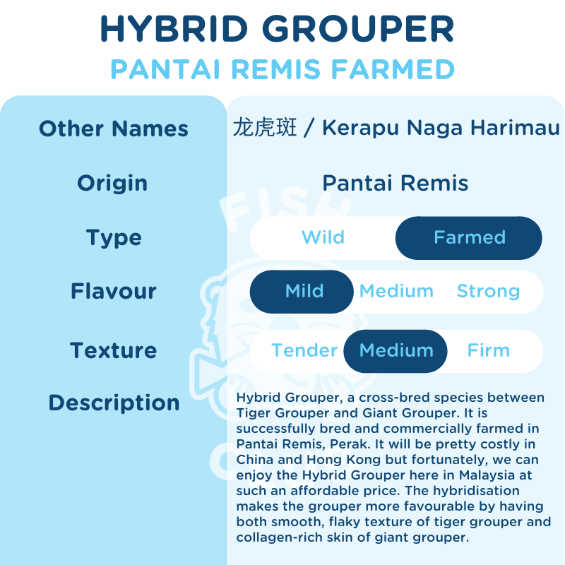 Hybrid Grouper (Pantai Remis) Slices / 龙虎斑(班台养殖)薄片 - Fish Club